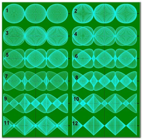 фазы глобулы домена Ф.В.