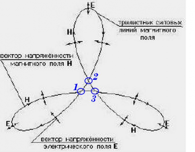 Физика образования трилистника