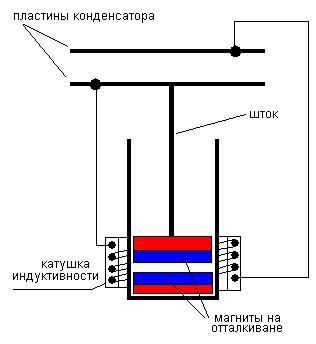 вечный вечняк