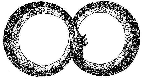 Бинарный колебательный  процесс  и аналог = змий-хвостоглот